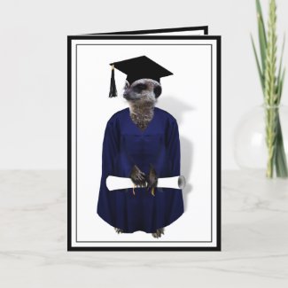 Meerkat Graduate (with Cap,Diploma & Blue Gown) card