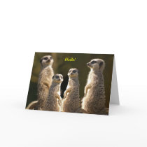 Meerkat group Hello! Card