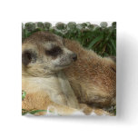 Meerkat Habitat Square Pin