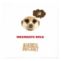 Meerkat Head Poster posters