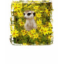 MEERKAT HIDING IN THE FLOWERS t-shirts