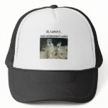 Meerkat Humor hats