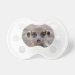 Meerkat Juvie - pacificador