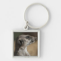 Meerkat Key Chain