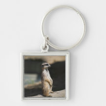 Meerkat Key Chain