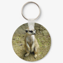 Meerkat keychains