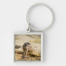 Meerkat Keychains