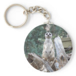 Meerkat Keyring Key Chains
