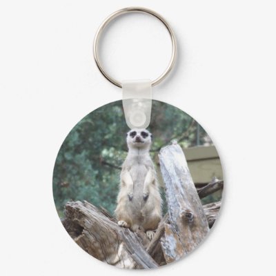 Meerkat Keyring Key Chains by PhotoPixie