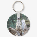 Meerkat Keyring keychains by PhotoPixie Meerkat Keyring keychains