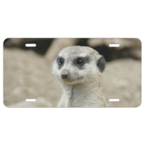 Meerkat License Plate at Zazzle