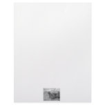 Meerkat looking at viewer photogarph picture letterhead template