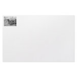 Meerkat looking at viewer photogarph picture custom stationery