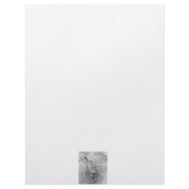 Meerkat looking up from ground photograph pic custom letterhead