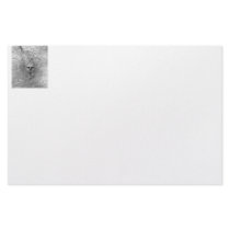 Meerkat looking up from ground photograph pic personalized stationery