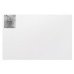 Meerkat looking up from ground photograph pic personalized stationery