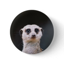 Meerkat Lookout Buttons