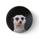 Meerkat Lookout Buttons