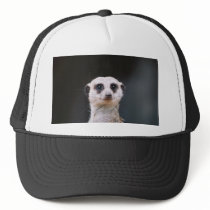 Meerkat Lookout Trucker Hat