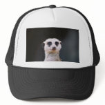 Meerkat Lookout hats