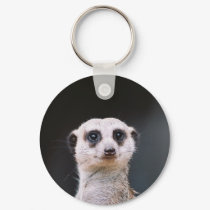 Meerkat Lookout keychains