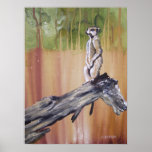 Meerkat Lookout Wildlife Art Print