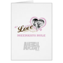 Meerkat Love Card