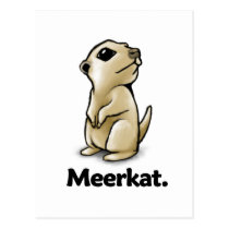 Meerkat Meerkat. postcards