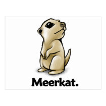 Meerkat Meerkat. postcards