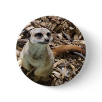 Meerkat More Please Button