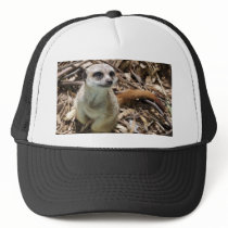 Meerkat More Please Trucker Hat