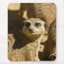 Meerkat Mousepad by SabineSt Meerkat Mousepad