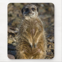 Meerkat Mousepad by SabineSt Meerkat Mousepad