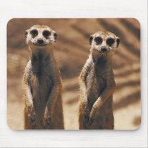 Meerkat mousepad
