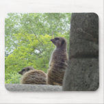 Meerkat Mousepad