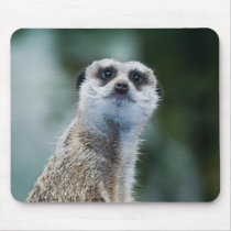 Meerkat Mousepad