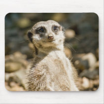 Meerkat Mousepad by SabineSt Meerkat Mousepad