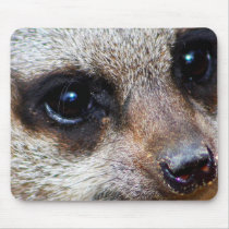 Meerkat mousepads