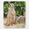 meerkat mousepad by 83mike83 meerkat mousepad