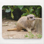 meerkat mousepad3