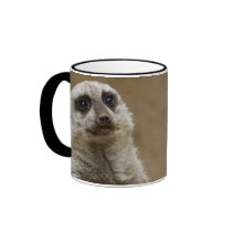Meerkat Mug