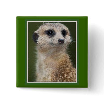 Meerkat on the look out pin