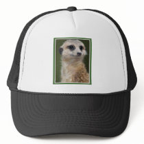 Meerkat on the look out mesh hat
