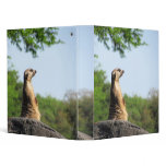 Meerkat on the Lookout binders