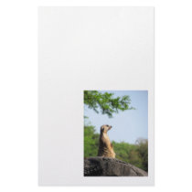 Meerkat on the Lookout Custom Stationery
