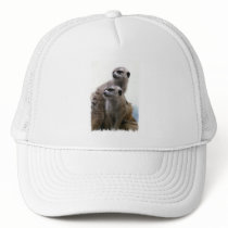 Meerkat Pair Baseball Hat