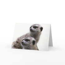 Meerkat Pair Greeting Card