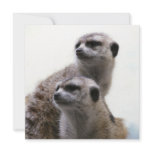 Meerkat Pair Invitation