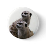 Meerkat Pair Pin