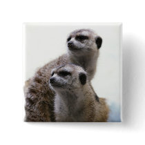 Meerkat Pair Square Pin